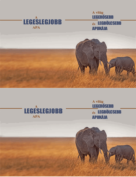 Bölcs elefántos apák napi képeslap