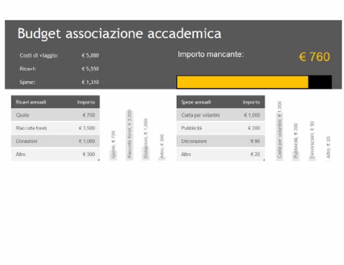 Budget associazione accademica