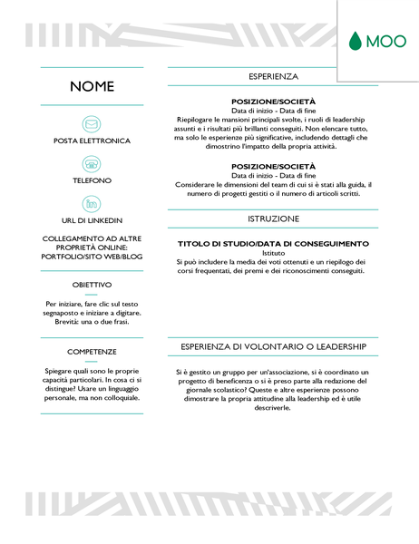 Curriculum creativo, progettato da MOO Curriculum creativo, progettato da MOO