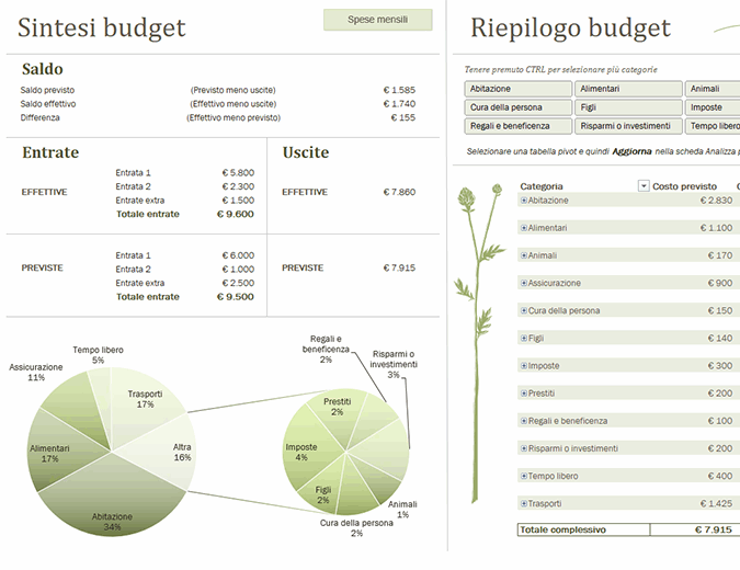 Budget familiare (mensile)