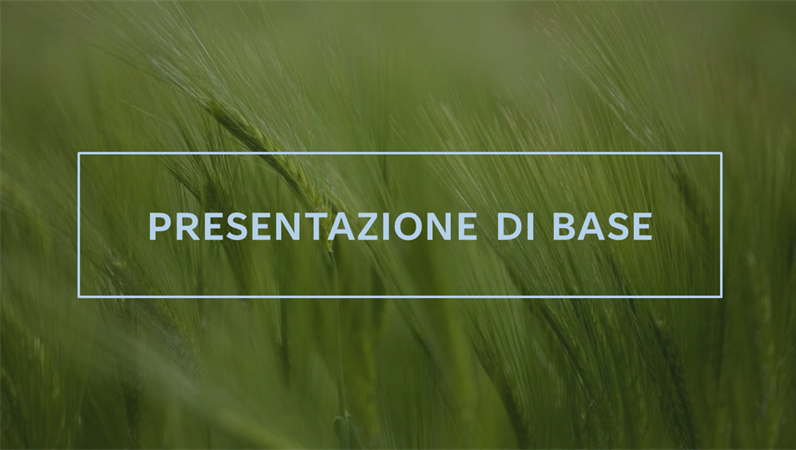 Presentazione verde Presentazione verde