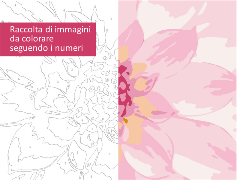 Raccolta di immagini da colorare seguendo i numeri Raccolta di immagini da colorare seguendo i numeri