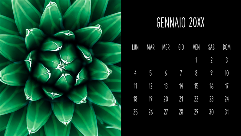 Calendario mensile con piante grasse Calendario mensile con piante grasse