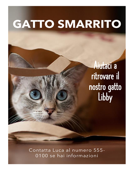 annuncio gatto smarrito