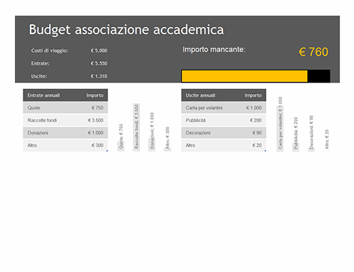 Budget associazione accademica Budget associazione accademica