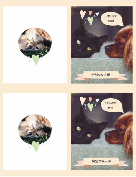 子猫と子犬の日常カード
