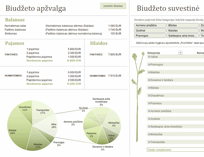 Šeimos biudžetas (mėnesio) Šeimos biudžetas (mėnesio)