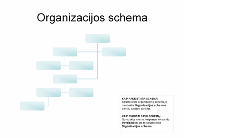 Sudėtinga organizacijos schema