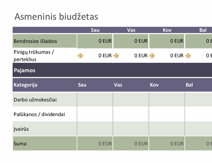 Bazinis asmeninis biudžetas Bazinis asmeninis biudžetas