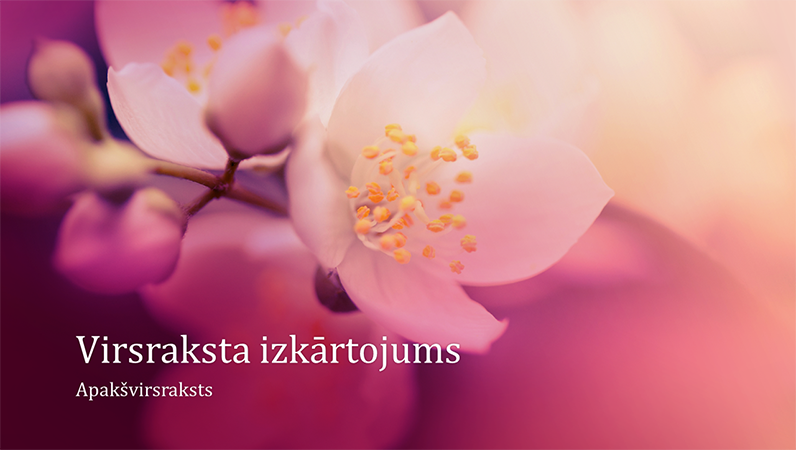 Prezentācija ar ķiršu ziedu noformējumu (platekrāna) Prezentācija ar ķiršu ziedu noformējumu (platekrāna)