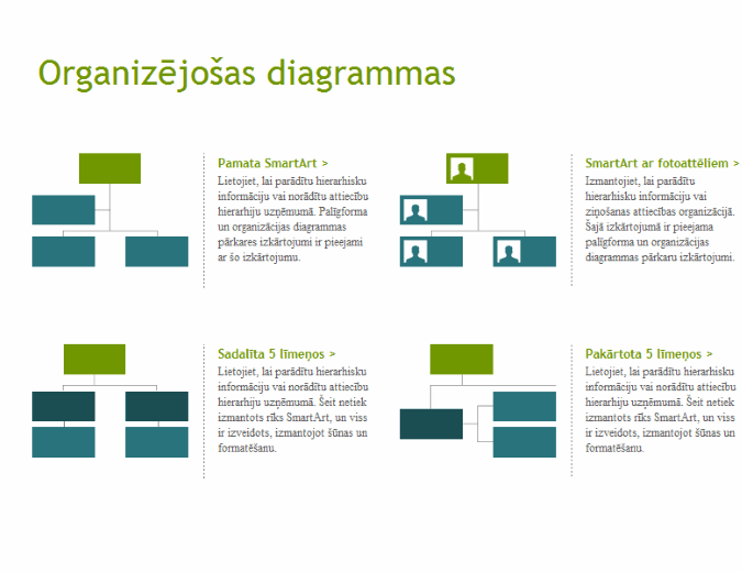 Organizāciju struktūras (vizuāli)