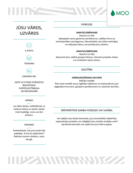 Radošs CV, ko veidoja MOO Radošs CV, ko veidoja MOO