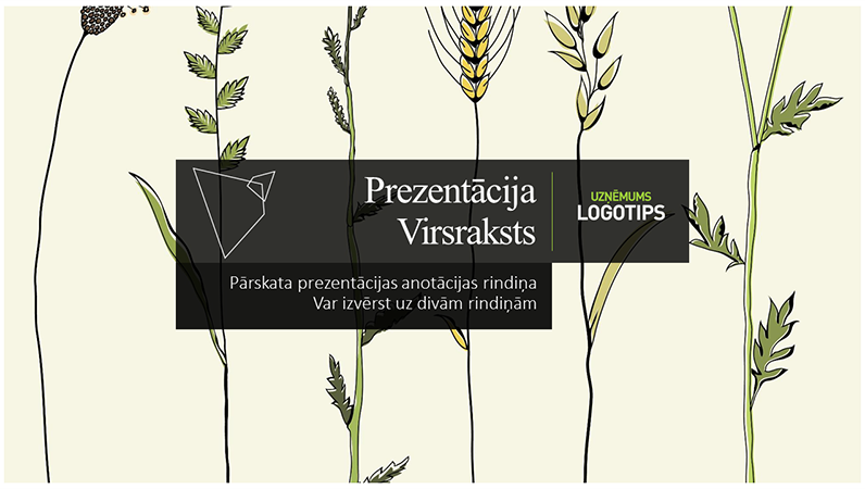 Pārskata prezentācija Pārskata prezentācija
