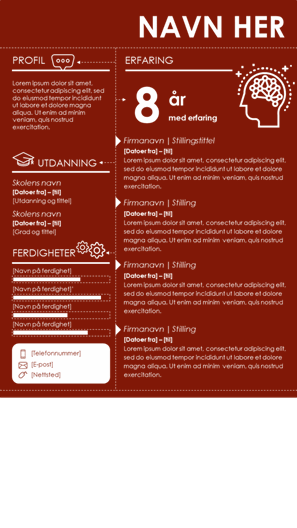 Informasjonsgrafikk-CV Informasjonsgrafikk-CV