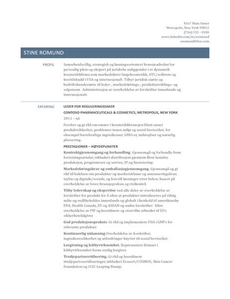 CV for leder for reguleringssaker CV for leder for reguleringssaker