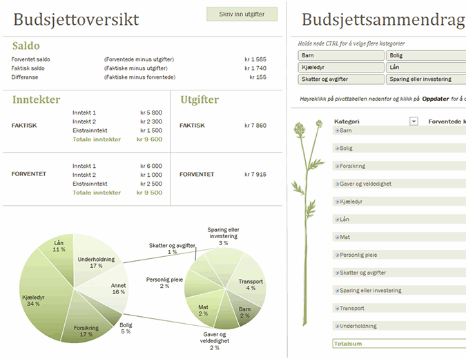 Familiebudsjett (månedlig) Familiebudsjett (månedlig)