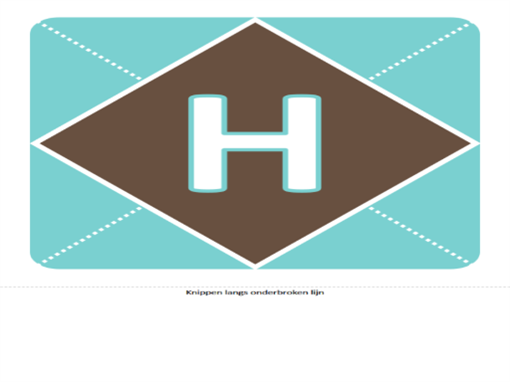 Hoera een jongetje-banner Hoera een jongetje-banner