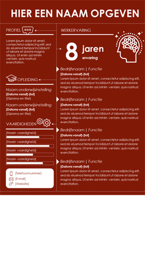 Infographic CV
