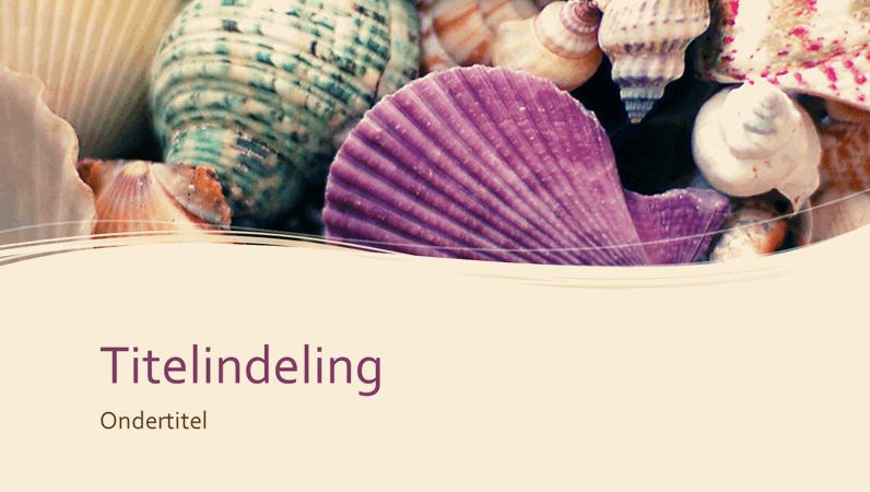 Verzameling kleurrijke schelpen Verzameling kleurrijke schelpen