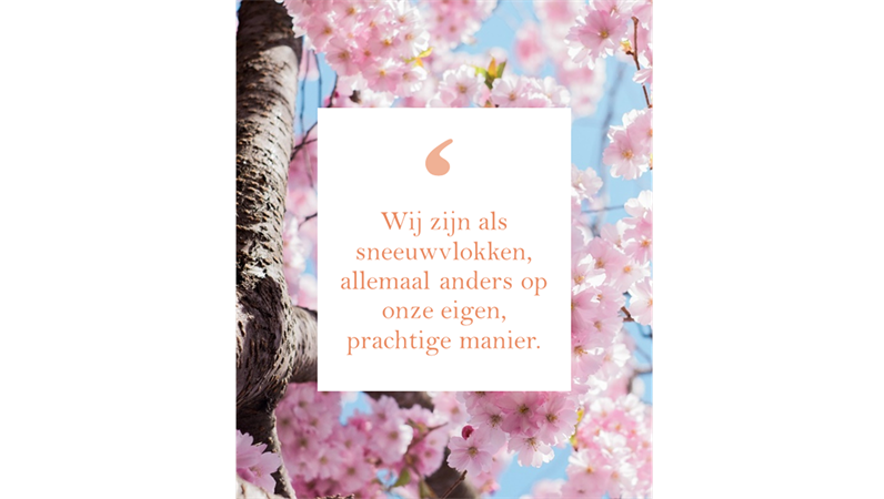 Nieuws en citaten op Instagram (staand formaat) Nieuws en citaten op Instagram (staand formaat)