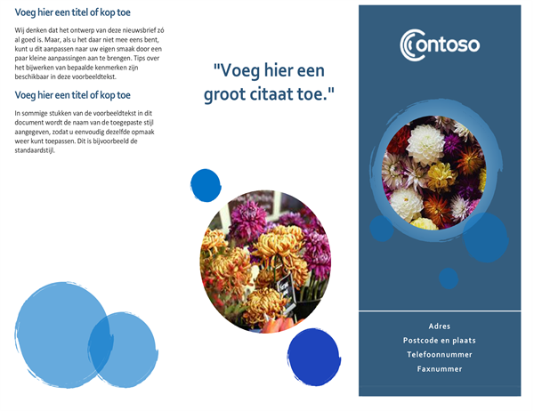 Brochure blauwe bollen Brochure blauwe bollen