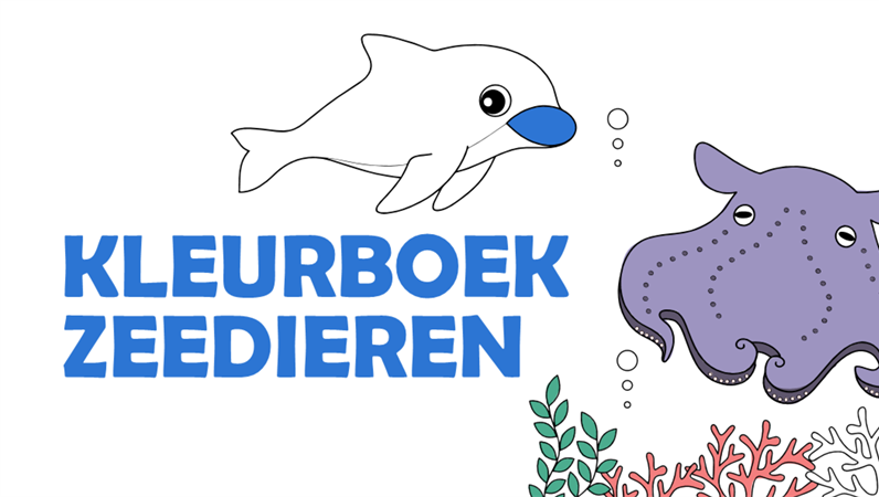 Zeedieren kleurboek Zeedieren kleurboek