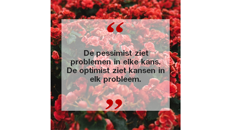Nieuws en citaten op Instagram (vierkant formaat) Nieuws en citaten op Instagram (vierkant formaat)