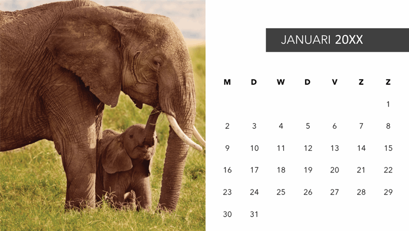Fotokalender met schattige dieren