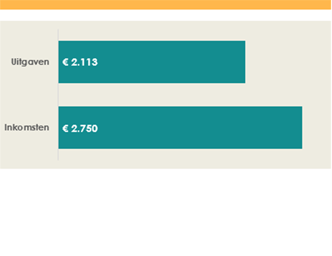 College inkomsten- en uitgavenbudget College inkomsten- en uitgavenbudget