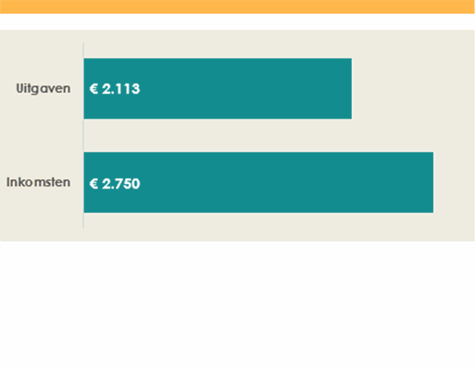 College inkomsten- en uitgavenbudget College inkomsten- en uitgavenbudget