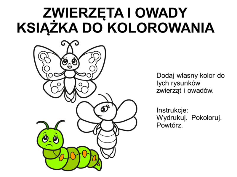 Książka do kolorowania zwierząt i owadów Książka do kolorowania zwierząt i owadów