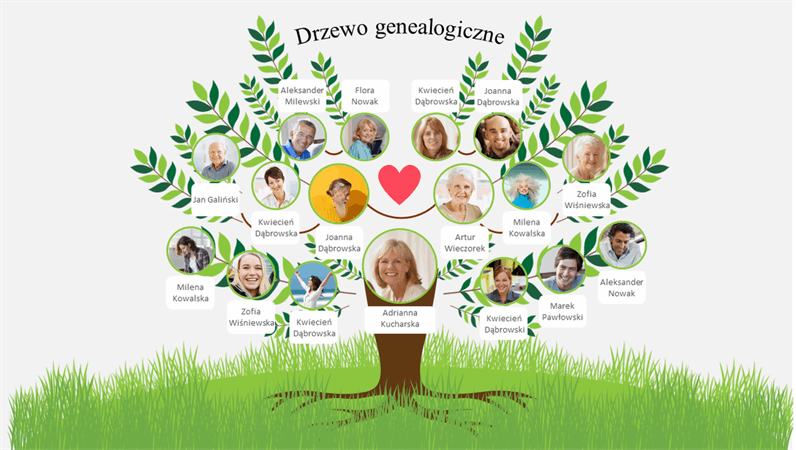 Drzewo genealogiczne