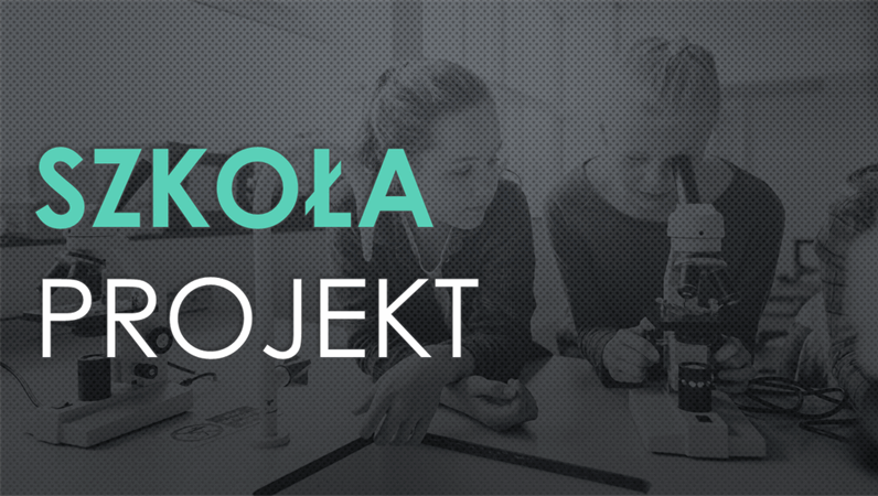 Nauka w szkole — projekt Siatka Nauka w szkole — projekt Siatka