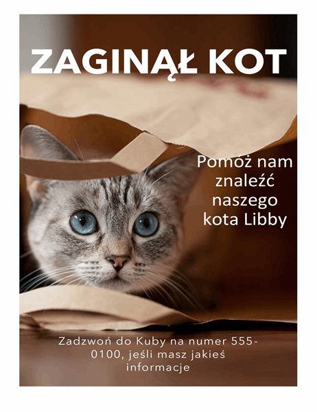 Ulotka o zaginięciu kota