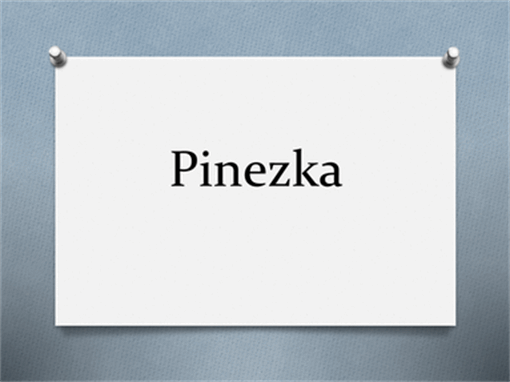 Pinezka