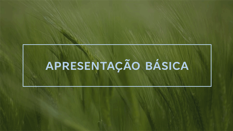 Apresentação Verdant Apresentação Verdant