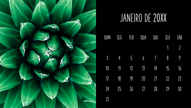 Calendário mensal de suculentas Calendário mensal de suculentas