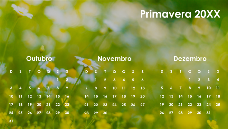 Calendário trimestral das estações do ano