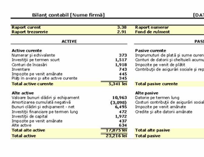 BilanÈ› Cu Rapoarte È™i Fond De Rulment