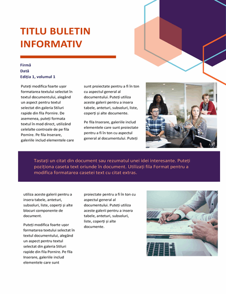 Buletin informativ (proiectare executivă, 2 pagini) Buletin informativ (proiectare executivă, 2 pagini)