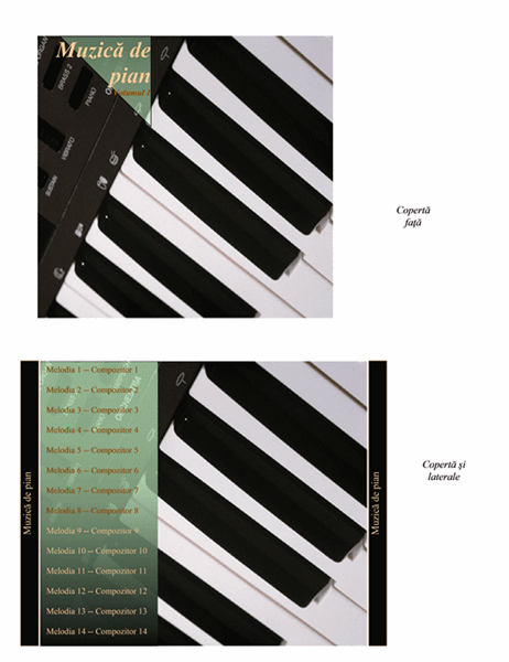 Inserție carcasă CD (grafică muzică de pian)
