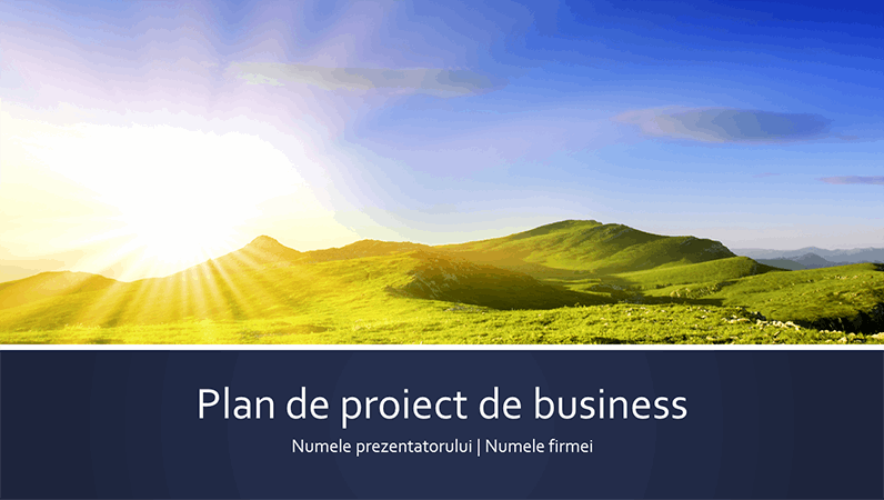 Prezentarea planului de proiect de afaceri (ecran lat)