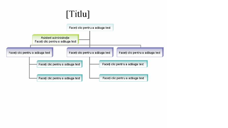 Organigramă Organigramă