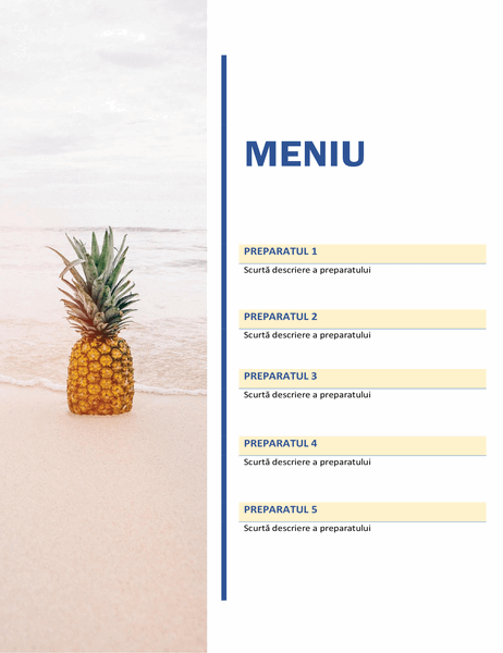 Meniu de petrecere (proiectarea Soare și nisip) Meniu de petrecere (proiectarea Soare și nisip)