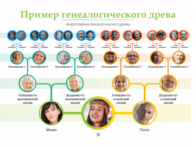 Familio генеалогический. Диана Спенсер Древо родословное. Ефремовы актеры Династия родословная. Фэмили Древо Фэмили генеалогическое. Составление генеалогического дерева.