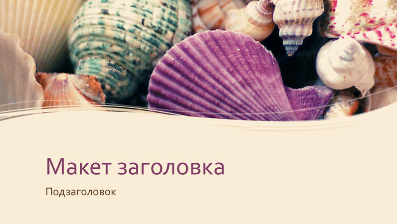 Пестрые ракушки Пестрые ракушки
