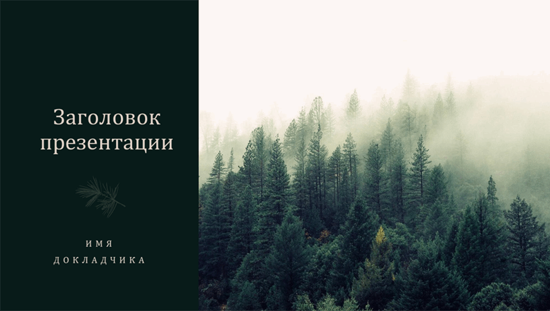 Оформление "Сосна" Оформление "Сосна"