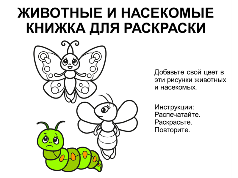 Раскраска с животными и насекомыми Раскраска с животными и насекомыми