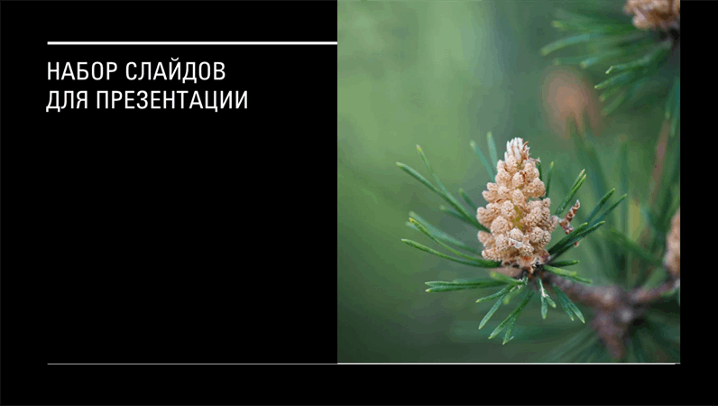 Оформление "Хроника" Оформление "Хроника"