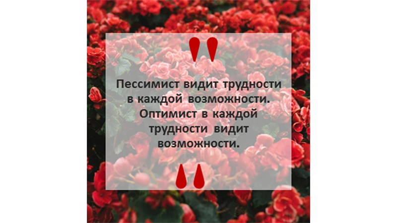 Новости Instagram и цитаты (квадратный макет) Новости Instagram и цитаты (квадратный макет)